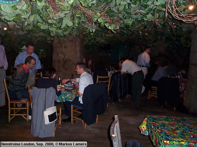 Rainforest Cafe 1