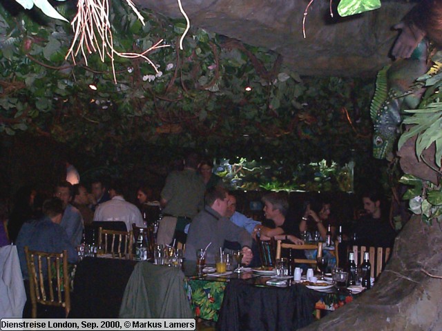 Rainforest Cafe 2