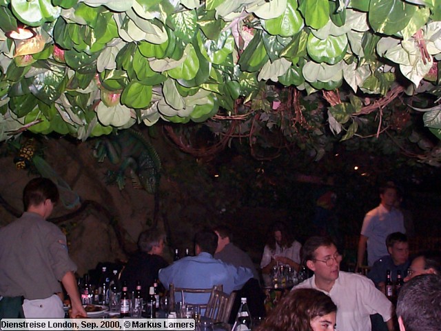 Rainforest Cafe 5