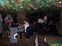 Rainforest Cafe 1