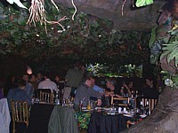 Rainforest Cafe 2