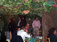 Rainforest Cafe 3