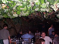 Rainforest Cafe 5