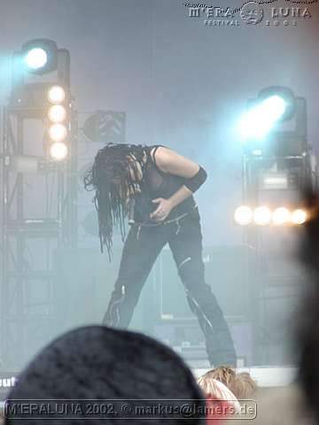P8111384
