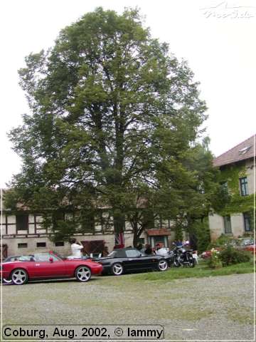 P8041117