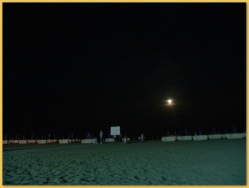 Make: SONY
Model: DSC-F828
DateTime: 21.06.2005 22:32:49
EXIFImageWidth: 800
ExifImageLength: 600
Flash: Flash did not fire - Compulsory flash suppression
ISOSpeedRatings: ISO 64
FocalLength: 7,1 mm