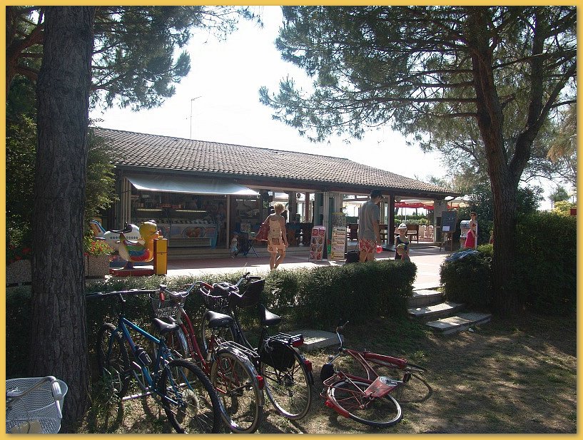 Make: SONY
Model: DSC-F828
DateTime: 22.06.2005 09:54:18
EXIFImageWidth: 800
ExifImageLength: 600
Flash: Flash did not fire - Compulsory flash suppression
ISOSpeedRatings: ISO 64
FocalLength: 7,1 mm