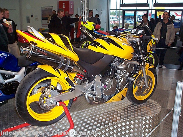 Metisse: Hornet, schrg hinten