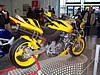 Metisse: Hornet, schrg hinten